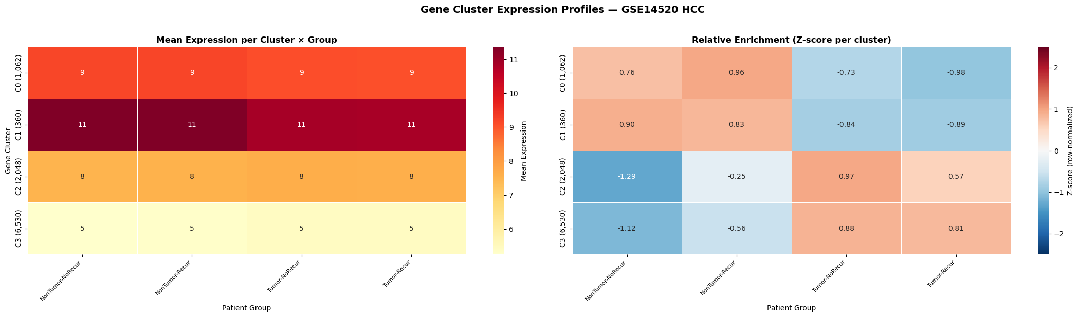 Gene cluster expression profiles across patient groups